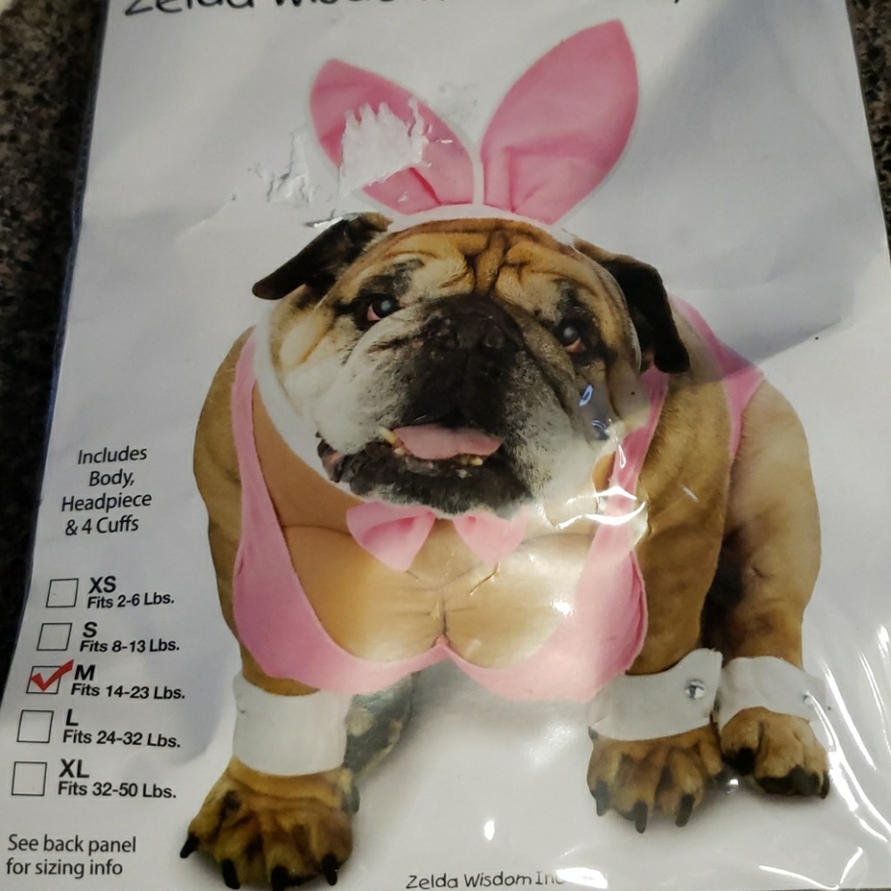 Dog costume